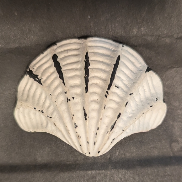 Seashell Knob - Picture 3 of 8